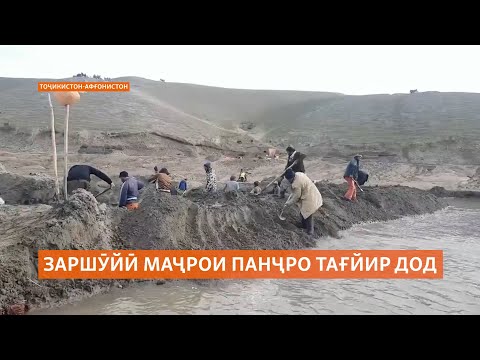 Видео: Заршӯёни Афғонистон маҷрои рӯди Панҷро тағйир дода, Тоҷикистонро ба соҳилбандӣ маҷбур кардаанд