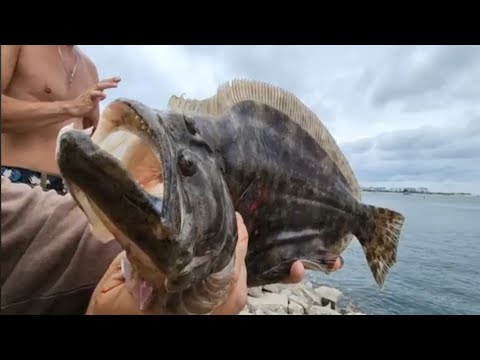 Видео: Наконец-то удача! Рыбалка.Северная Каролина