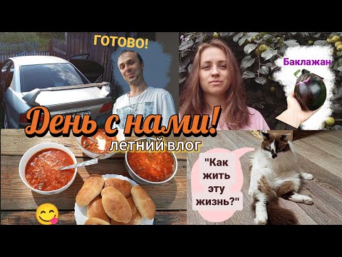 Видео: Делаем химчистку авто/Обрезаю клубнику/Вырастила большой баклажан