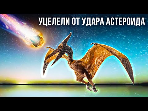 Видео: Куда делись все летающие динозавры и другие факты об древних существах