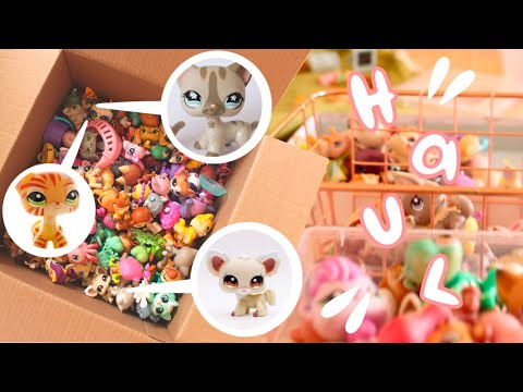 Видео: РАСПАКОВКА БОЛЬШОЙ КОЛЛЕКЦИИ LPS (БОЛЕЕ 100 СТАРЫХ LPS!)