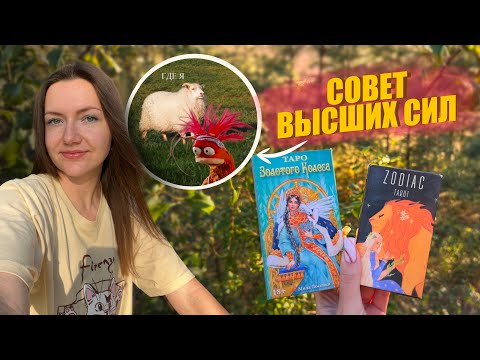 Видео: Совет Высших сил. Что важно знать прямо сейчас?💫
