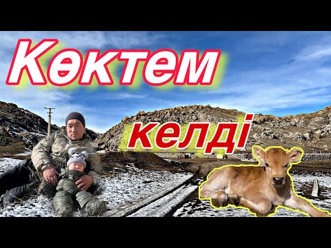 Видео: Мал төлдеп, көктем ерте кележатыр.. 2025