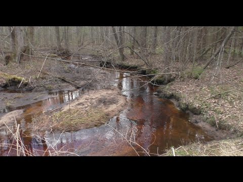 Видео: Там где начинается Кемка