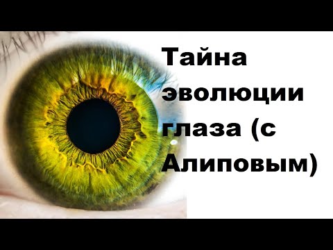 Видео: Тайна эволюции глаза с Алиповым