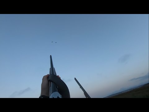 Видео: ОХОТА НА УТКУ НА БЕРЕГУ МОРЯ | Неожиданные налёты | Охота с двустволкой CZ Mallard