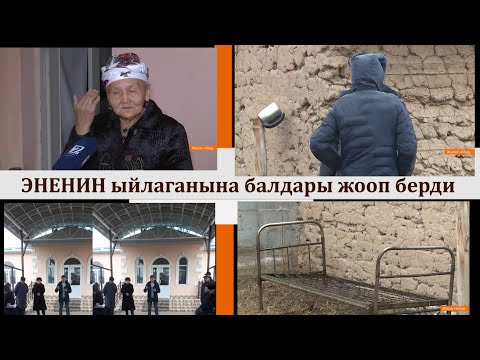 Видео: Кароосуз калдым деген ЭНЕНИН сөзүнө балдары бугун жооп берди