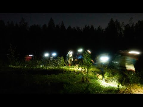 Видео: ММБ Весна 2024