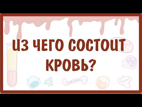 Видео: [физиология] — Из чего состоит КРОВЬ?