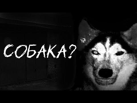 Видео: СОБАКА?... Страшные истории на ночь