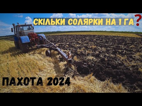 Видео: Оранка/пахота   2024 ✅ Оранка по пшениці 🚜 Скільки випив солярки на 1 га❓ Яка глибина пахоти❓