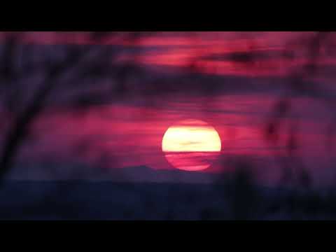 Видео: Abagar Quartet - My Love, Kalyo | Севдим Кальо [Official Visualizer]