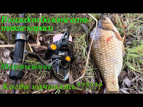 Видео: Мормышинг. Ловим карася весной