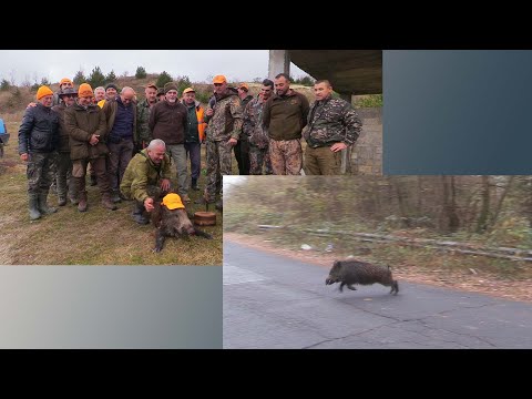 Видео: Охота Кырджали 1