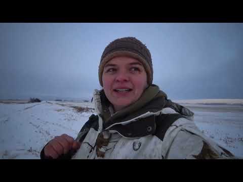 Видео: Охота на Оленя, Elk hunting