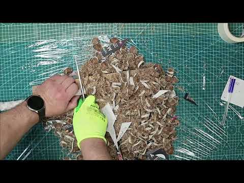 Видео: CPM S125V и канат 22мм  Режем, смотрим