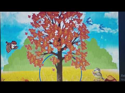 Видео: 24/10/25 рік.Рідна природа.Подорож до осіннього лісу.