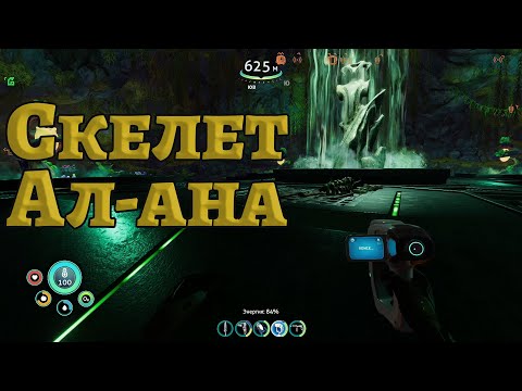 Видео: Скелет архитектора.