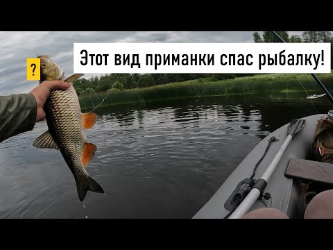 Видео: ПРИМАНКА СДЕЛАЛА РЫБАЛКУ! КРЕНКИ УСТУПИЛИ ТОПВОТЕРУ. СПЛАВНОЙ ГОЛАВЛЬ! ГОЛАВЛЬ НА СПИННИНГ!