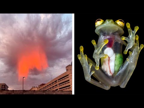 Видео: Фото, которые тебя удивят (Часть 6)