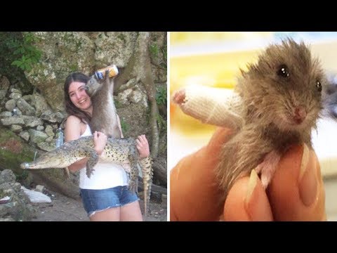 Видео: Теперь вы точно видели все