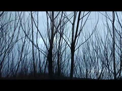 Видео: Альтернатива дровам. Якщо ліс далеко.