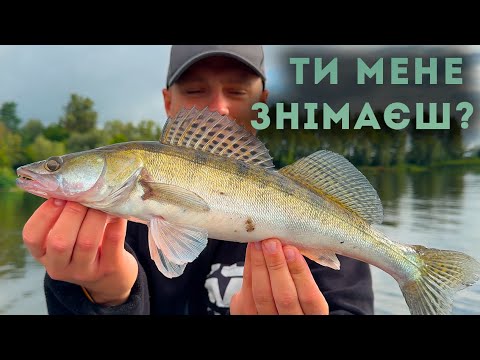 Видео: Шалена роздача Деснянського ХИЖАКА — кльов, який не зупиняється!