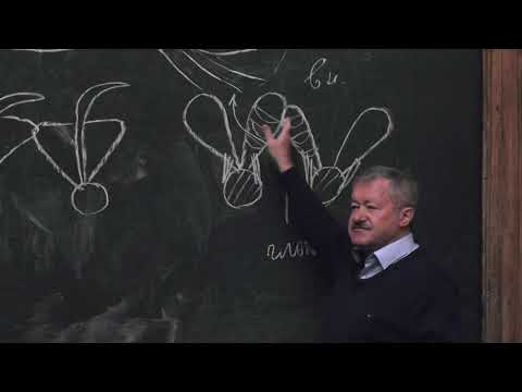 Видео: Корзун Л. П. - Зоология позвоночных - 7. Костные рыбы