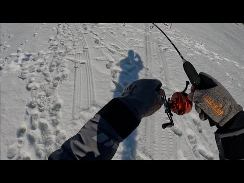 Видео: ЛОВЛЯ СУДАКА НА ВИБЫ СО ЛЬДА. НАЧАЛО ВЕСНЫ.