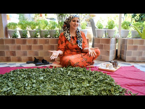 Видео: Как мне убедить вас, что этот рецепт имеет множество преимуществ?