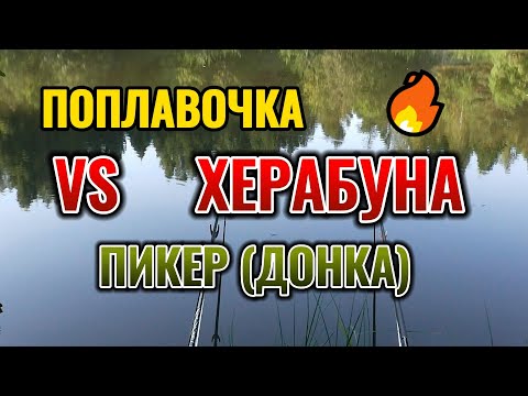 Видео: Херабуна VS Поплавочка VS Пикер. Рыболовный - батл. Ловля карася в Сентябре осенью.