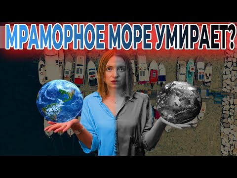 Видео: КАТАСТРОФА В ТУРЦИИ // Морская слизь на побережье Мраморного моря.
