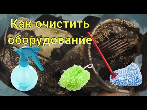 Видео: Очистка оборудования морского аквариума