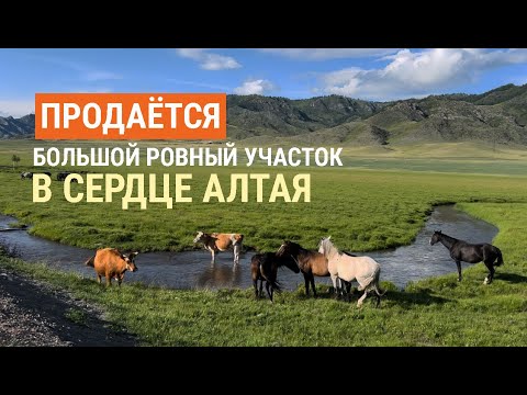 Видео: Купить большой участок в Горном Алтае рядом с Белухой