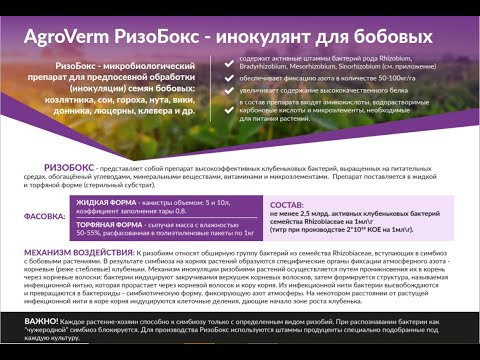 Видео: Почему инокулянты не работают! Применение инокулянтов "РизоБокс" для сои и других бобовых культур.