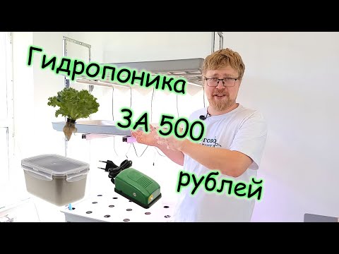 Видео: Самая бюджетная гидропонная установка DWC