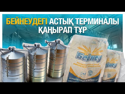 Видео: Бейнеудегі астық терминалының жұмысын жандандыру керек