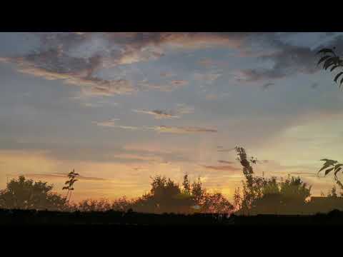 Видео: Псалом 62