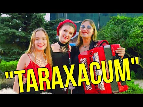 Видео: Творческий проект "TARAXACUM" из г. Самары на фестивале "МИР Сибири - 2024" в Шушенском