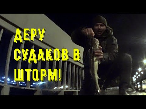 Видео: СУДАК на ДАМБЕ в Шторм!! Я один! Судак жрёт!