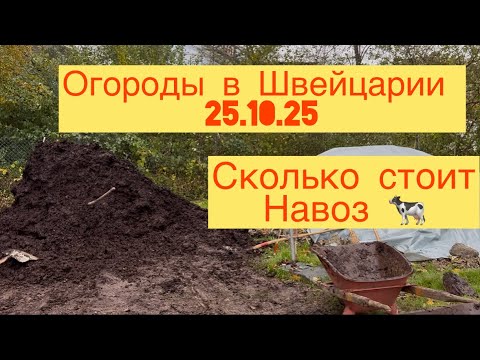 Видео: ОГОРОДЫ В ШВЕЙЦАРИИ 👩‍🌾 25.10.25 СКОЛЬКО СТОИТ НАВОЗ 🐄😉