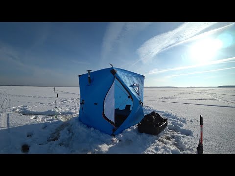 Видео: Зимняя рыбалка с комфортом на Иваньковском водохранилище