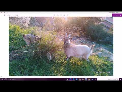 Видео: 1242. Учебный диалог на иврите по теме вопросов о вакцинации. Как сказать: левая рука, правая нога