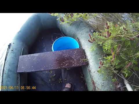 Видео: Сом на драголины , река Протока