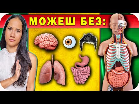 Видео: ТОП 10 ИЗЛИШНИ ОРГАНИ в Човешкото Тяло