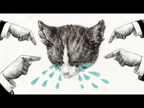 Видео: 6 причин ПЕРЕСТАТЬ БЕСПОКОИТЬСЯ о том, что о вас думают другие