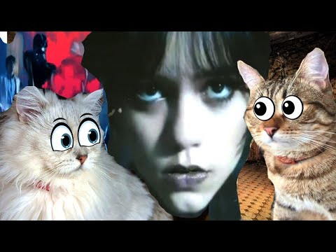 Видео: УЭНСДЕЙ АДДАМС  в Реальной жизни ПРИШЛА к Нам Домой!