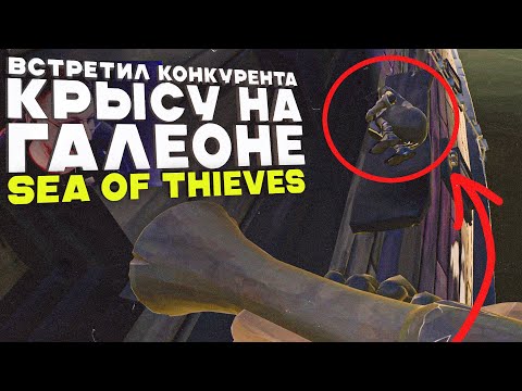 Видео: Встретил конкурента крысу ! Sea of Thieves