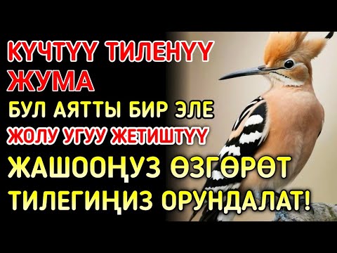 Видео: Жума күнүндөгү ЭҢ КҮЧТҮҮ ДУА! Бардык каалоолор кабыл болот! БАЙЛЫК, ПАЙДА ЖАНА БААКЫТ 🌙✨