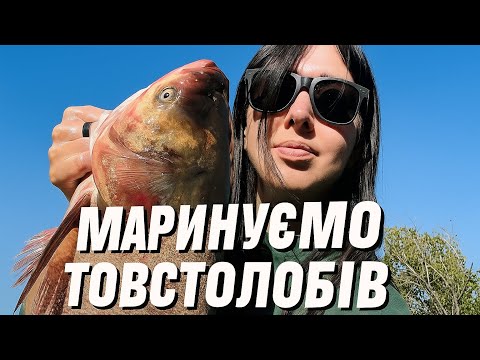 Видео: Спустили ставок! Маринуємо товстолобів. Риболовля накрилася 😫